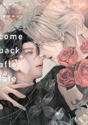 Portada de Comeback after fate